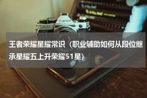 王者荣耀星耀常识（职业辅助如何从段位继承星耀五上升荣耀51星）
