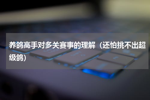 养鸽高手对多关赛事的理解（还怕挑不出超级鸽）