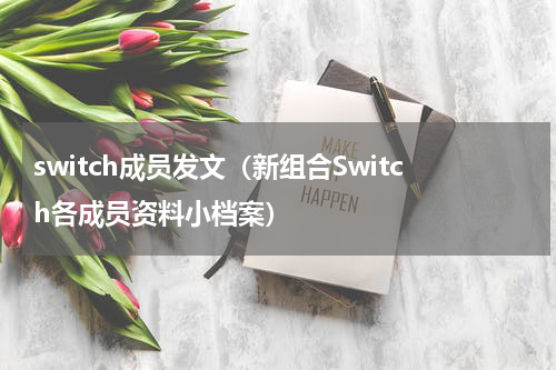 switch成员发文（新组合Switch各成员资料小档案）