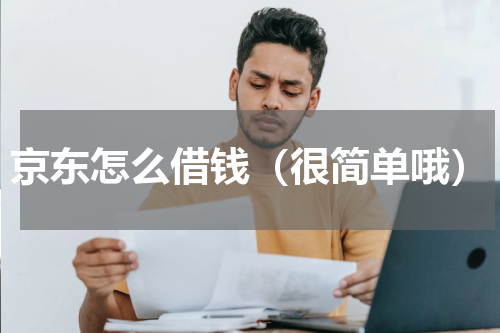 京东怎么借钱（很简单哦）