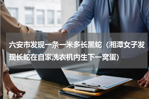 六安市发现一条一米多长黑蛇（湘潭女子发现长蛇在自家洗衣机内生下一窝蛋）