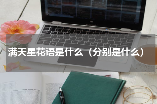 满天星花语是什么（分别是什么）