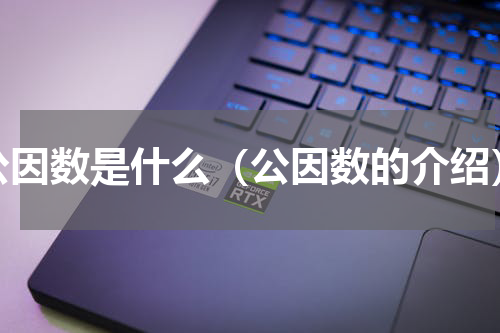 公因数是什么（公因数的介绍）
