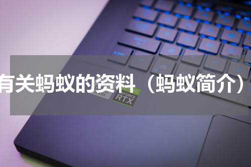 有关蚂蚁的资料（蚂蚁简介）