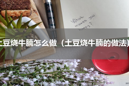 土豆烧牛腩怎么做（土豆烧牛腩的做法）