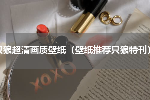 只狼超清画质壁纸（壁纸推荐只狼特刊）