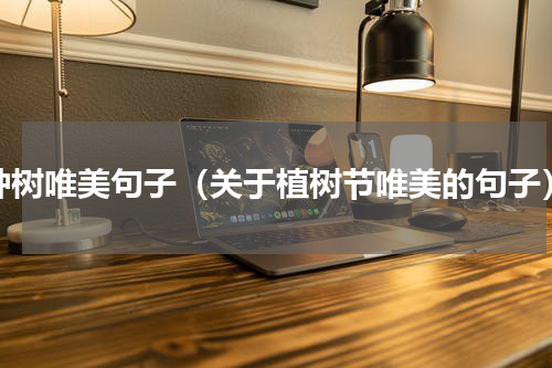 种树唯美句子（关于植树节唯美的句子）