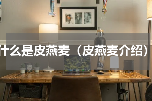 什么是皮燕麦（皮燕麦介绍）