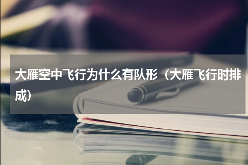 大雁空中飞行为什么有队形（大雁飞行时排成）