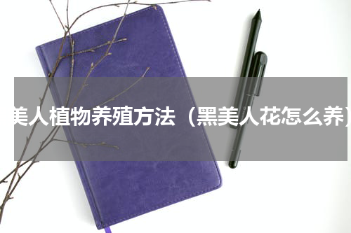 黑美人植物养殖方法（黑美人花怎么养）