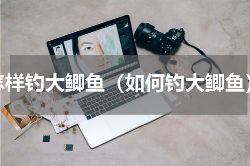 怎样钓大鲫鱼（如何钓大鲫鱼）
