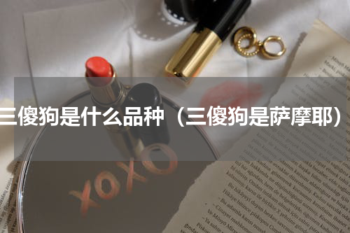 三傻狗是什么品种（三傻狗是萨摩耶）
