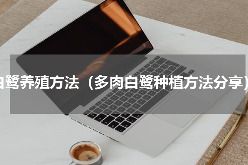 白鹭养殖方法（多肉白鹭种植方法分享）