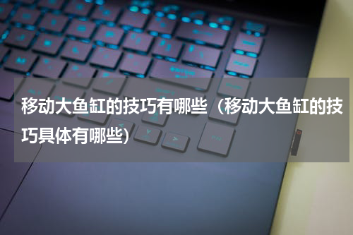 移动大鱼缸的技巧有哪些（移动大鱼缸的技巧具体有哪些）