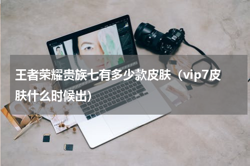 王者荣耀贵族七有多少款皮肤（vip7皮肤什么时候出）