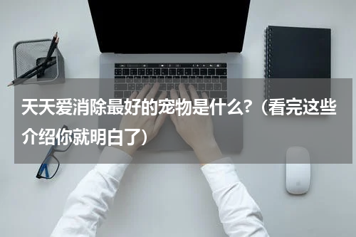 天天爱消除最好的宠物是什么?（看完这些介绍你就明白了）