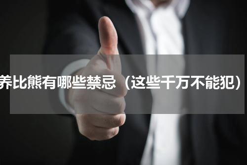 养比熊有哪些禁忌（这些千万不能犯）