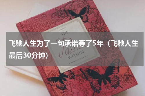 飞驰人生为了一句承诺等了5年（飞驰人生最后30分钟）