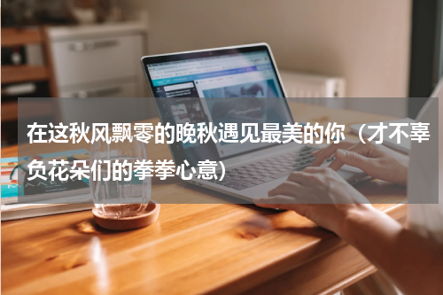 在这秋风飘零的晚秋遇见最美的你（才不辜负花朵们的拳拳心意）
