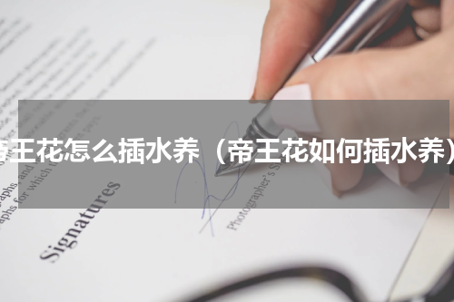 帝王花怎么插水养（帝王花如何插水养）