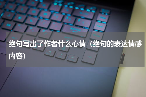 绝句写出了作者什么心情（绝句的表达情感内容）