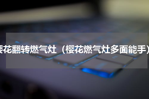 樱花翻转燃气灶（樱花燃气灶多面能手）