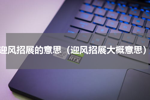 迎风招展的意思（迎风招展大概意思）