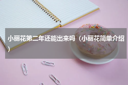 小丽花第二年还能出来吗（小丽花简单介绍）