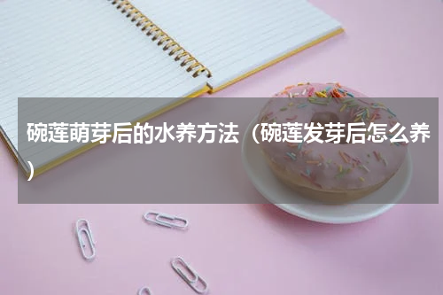 碗莲萌芽后的水养方法（碗莲发芽后怎么养）