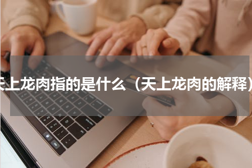 天上龙肉指的是什么（天上龙肉的解释）