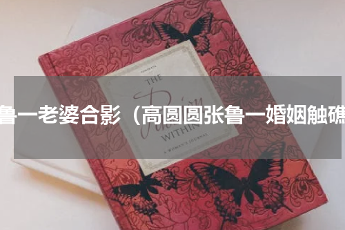 张鲁一老婆合影（高圆圆张鲁一婚姻触礁）