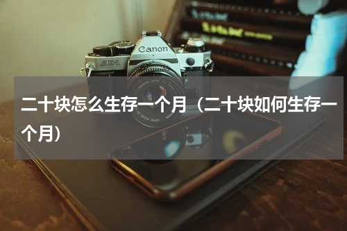 二十块怎么生存一个月（二十块如何生存一个月）