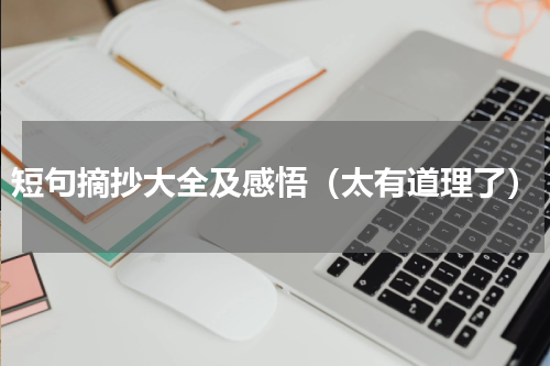 短句摘抄大全及感悟（太有道理了）