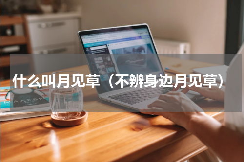 什么叫月见草（不辨身边月见草）