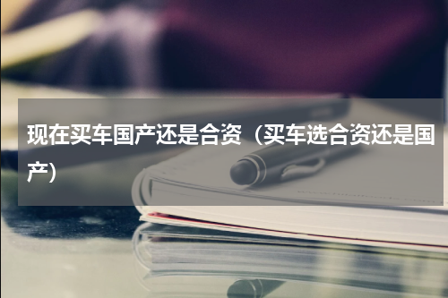 现在买车国产还是合资（买车选合资还是国产）