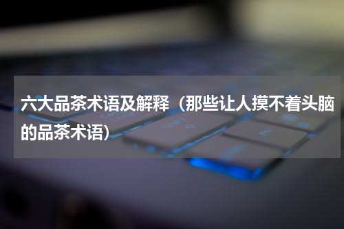 六大品茶术语及解释（那些让人摸不着头脑的品茶术语）