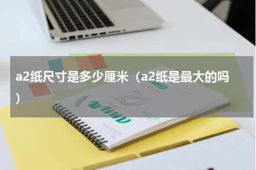 a2纸尺寸是多少厘米（a2纸是最大的吗）