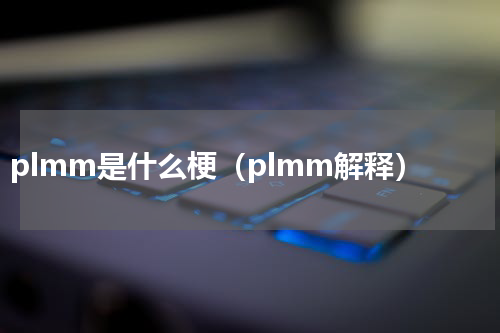 plmm是什么梗（plmm解释）