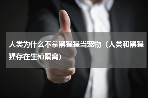 人类为什么不拿黑猩猩当宠物（人类和黑猩猩存在生殖隔离）