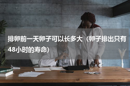 排卵前一天卵子可以长多大（卵子排出只有48小时的寿命）