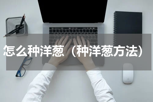 怎么种洋葱（种洋葱方法）