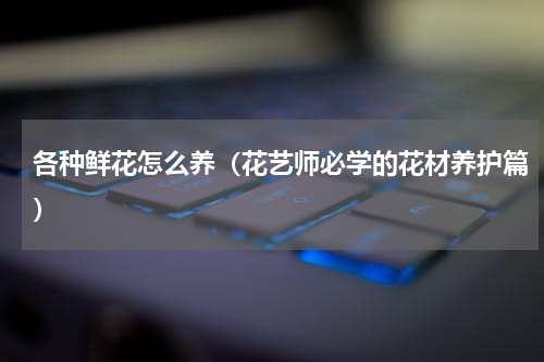 各种鲜花怎么养（花艺师必学的花材养护篇）