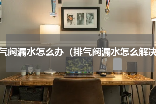 排气阀漏水怎么办（排气阀漏水怎么解决）