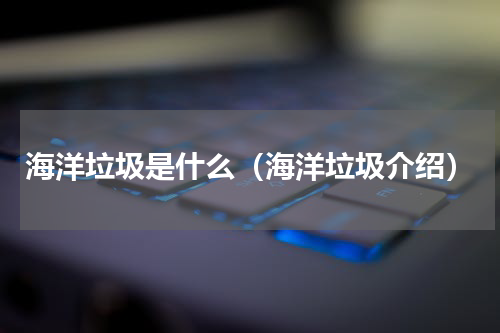 海洋垃圾是什么（海洋垃圾介绍）