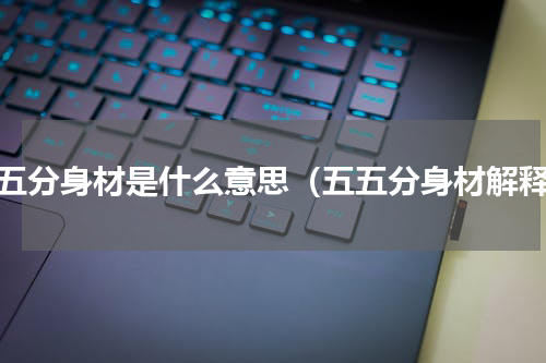 五五分身材是什么意思（五五分身材解释）