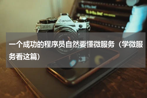 一个成功的程序员自然要懂微服务（学微服务看这篇）