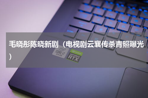 毛晓彤陈晓新剧（电视剧云襄传杀青照曝光）