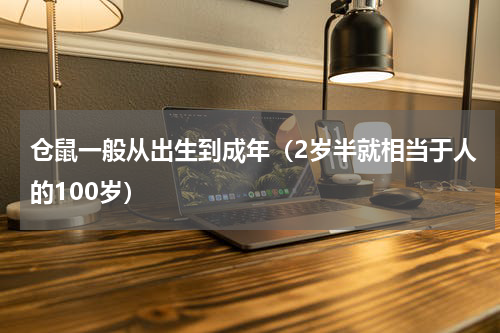 仓鼠一般从出生到成年（2岁半就相当于人的100岁）