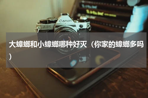 大蟑螂和小蟑螂哪种好灭（你家的蟑螂多吗）