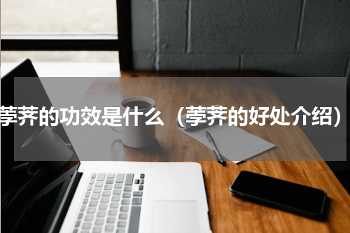 荸荠的功效是什么（荸荠的好处介绍）